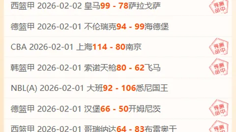 詹姆斯单核25分10板引争议，雷迪克声援，东契奇点明真相