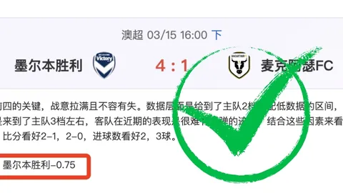 阿比雷斯球员受重击致脑震荡，两队球员冲突一人受重伤，丹戎巴葛联队19岁球员被拘留